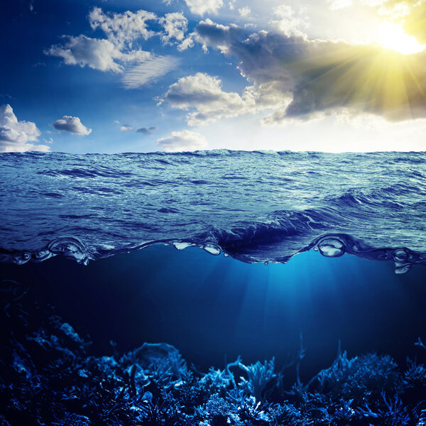 Waterline and underwater background