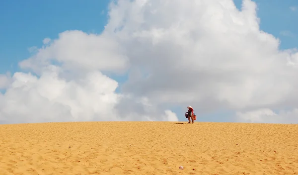 stock image Lone walker in a desert