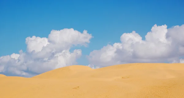 Dunas de arena en un desierto — Foto de Stock