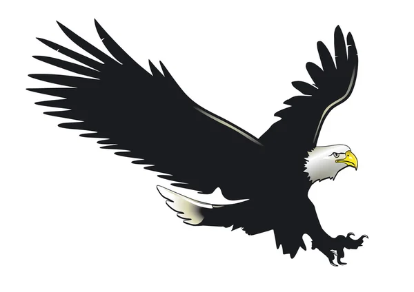 Eagle in vlucht — Stockvector