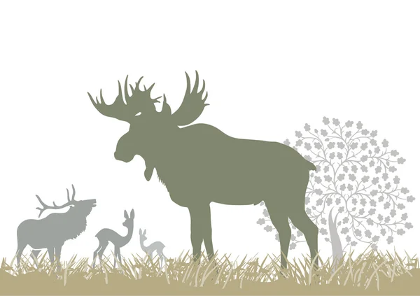 Elk and wild animals — Stock Vector