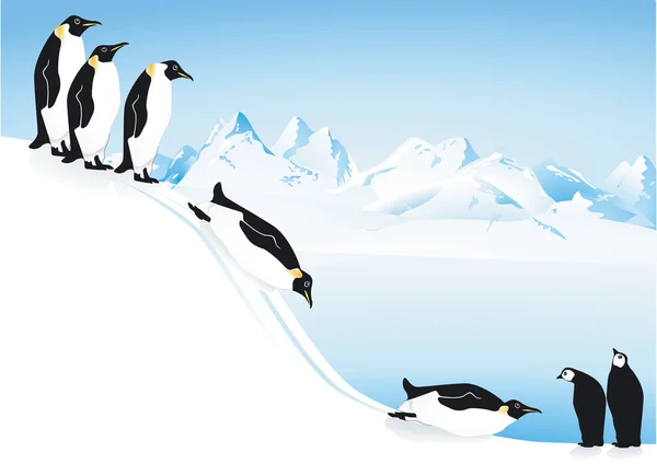 Pinguins slide —  Vetores de Stock