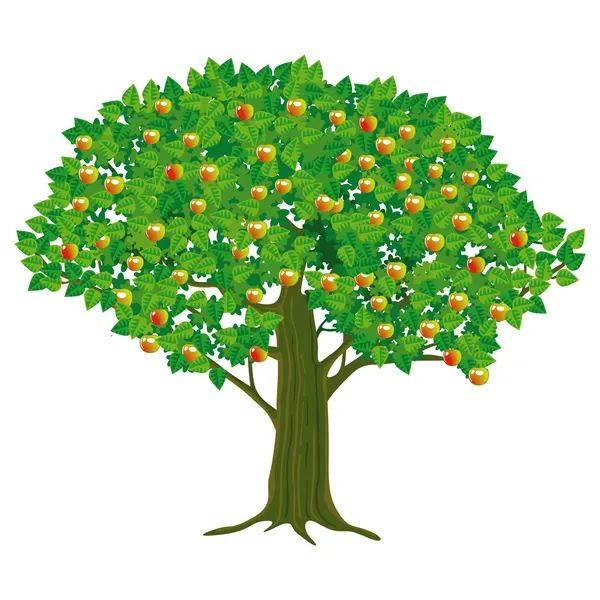 Großer Apfelbaum — Stockvektor