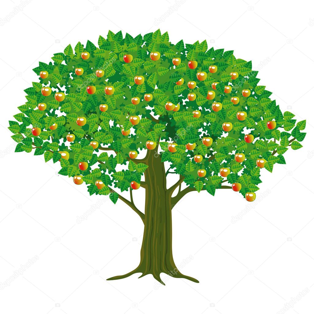 Download Large Apple Tree — Stock Vector © scusi0-9 #11551678