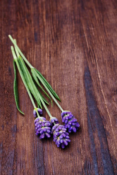 Lavendel auf Holz Hintergrund — Stockfoto
