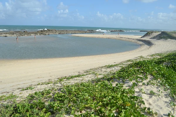 Spiaggia di Camurupim — Foto Stock