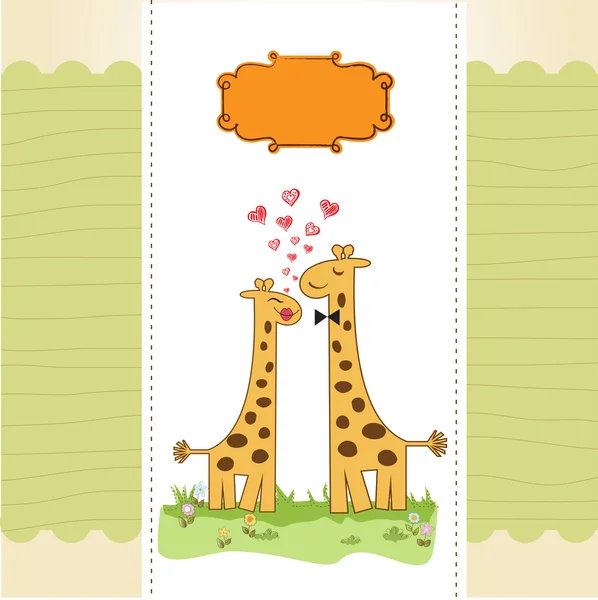 Engraçado casal girafa no amor — Fotografia de Stock