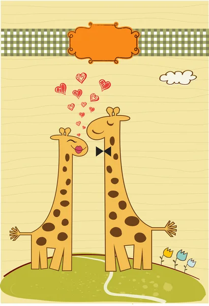 Engraçado casal girafa no amor — Fotografia de Stock