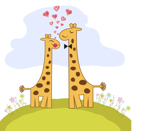 Забавная влюблённая пара жирафов — стоковое фото
