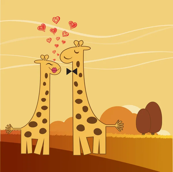 Lustiges Giraffenpaar verliebt — Stockfoto