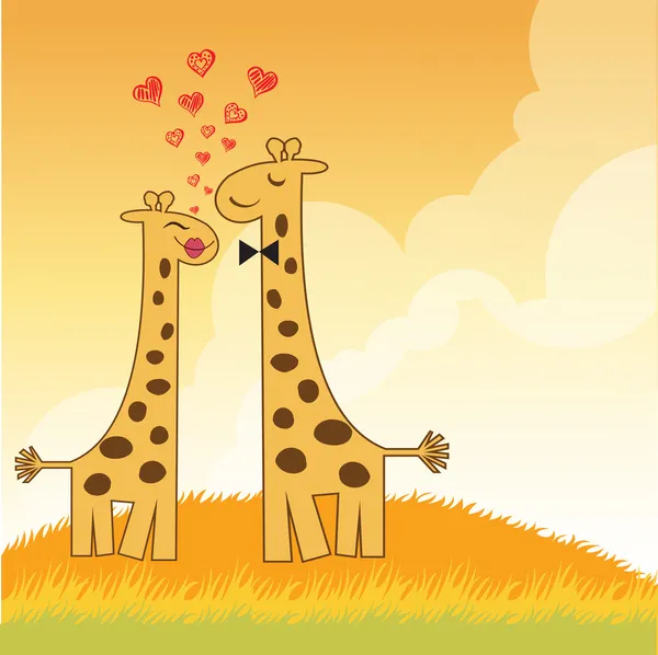 Grappige giraffe verliefde paar — Stockfoto
