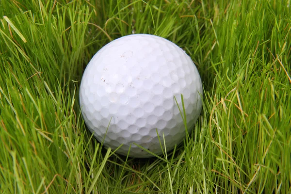 М'яч для гольфу в зеленій траві — стокове фото