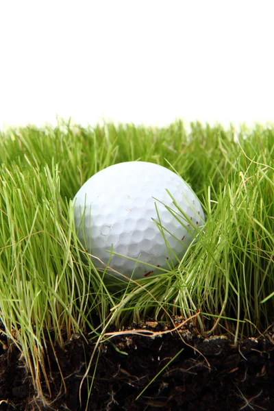 Мяч для гольфа в зеленой траве — стоковое фото
