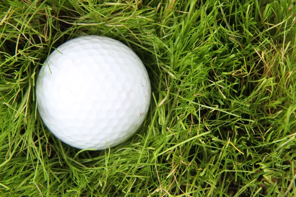 Golfbal in het groene gras — Stockfoto