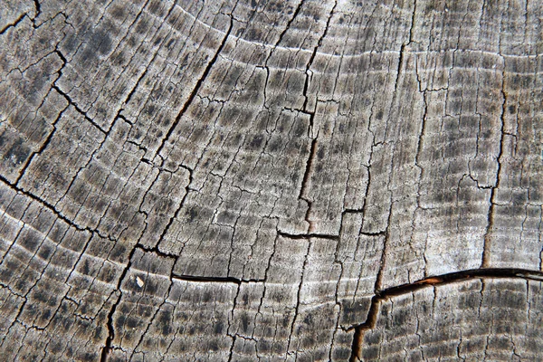 stock image Wooden background