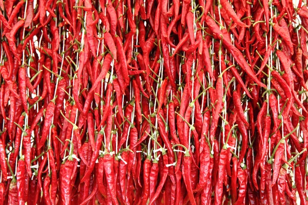 Hot spicy background — Stock Photo, Image