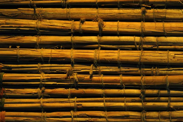 Fond bambus — Photo