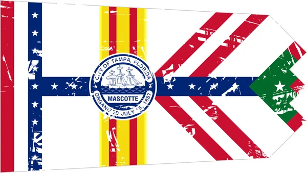 Tampa stad vlag — Stockfoto