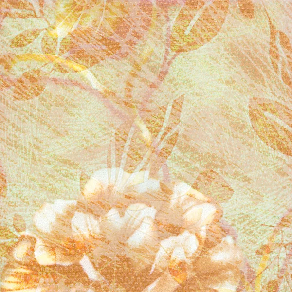 Abstrakter Grunge-Hintergrund mit Rose — Stockfoto