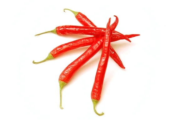 Červené chilli, samostatný — Stock fotografie