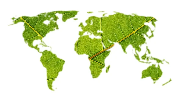 Världskarta med leaf konsistens — Stockfoto