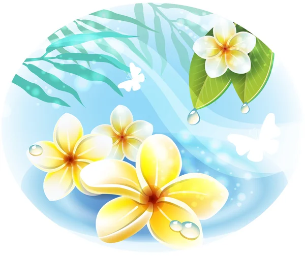 Frangipani plumeria flores en el agua — Vector de stock