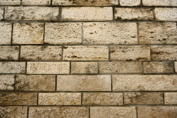 stock image Old wall