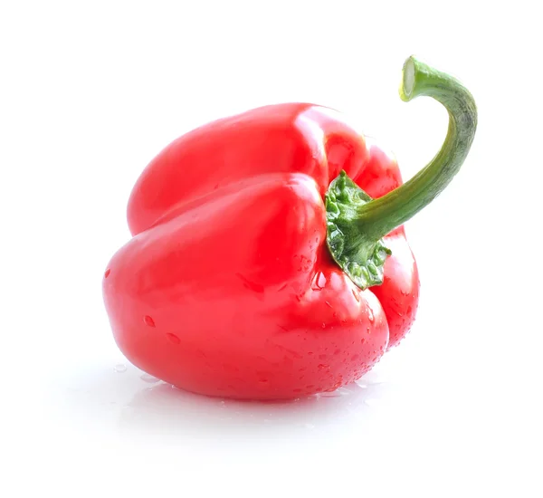 Red pepper isolated on white background — Stock Photo, Image