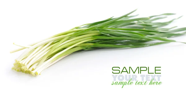 Fresh spring garlic on white background — Stock Photo, Image