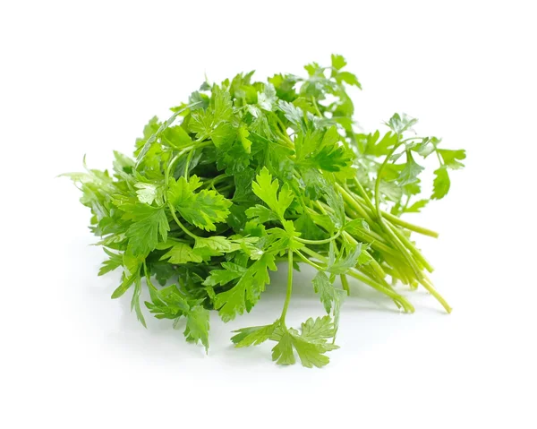 Bunch of fresh green parsley on white background — Stock Photo, Image