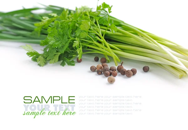 Färsk grön persilja och vårlök med korn peppar på vit bakgrund — Stockfoto