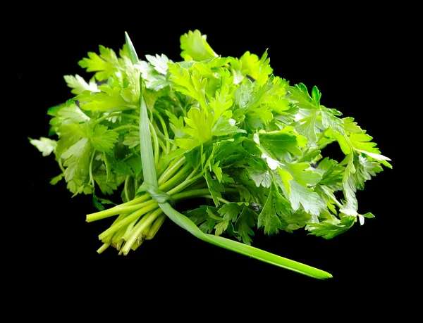 Bunch of fresh green parsley isolated on black background — Stock Photo, Image