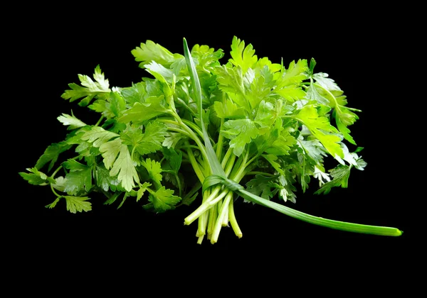 Bunch of fresh green parsley isolated on black background — Stock Photo, Image