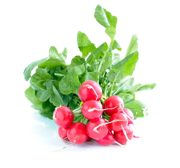 Fresh radish isolated on white background — Stock Photo, Image