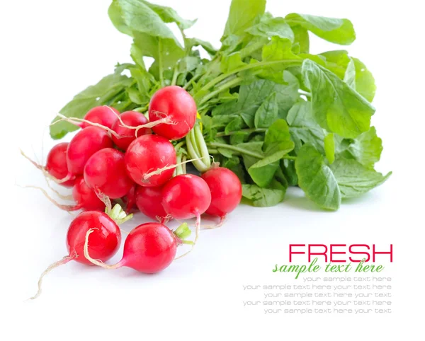 Stock image Fresh radish isolated on white background