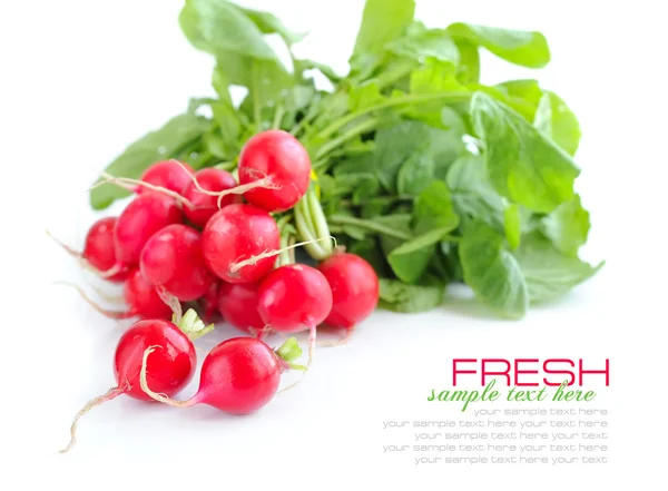 stock image Fresh radish isolated on white background