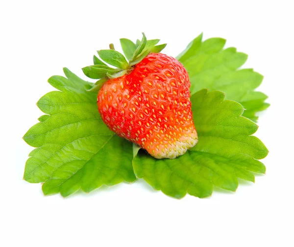 Strawberry with leaves on a white background — Stock Photo, Image