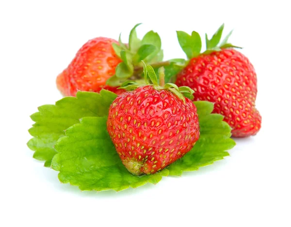 Erdbeeren mit Blättern auf weißem Hintergrund — Stockfoto