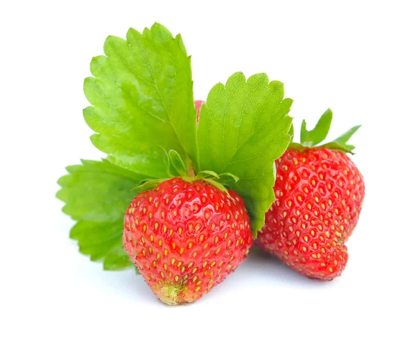 Erdbeeren mit Blättern auf weißem Hintergrund — Stockfoto