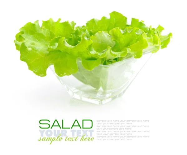 Salada verde fresca em um prato de vidro no fundo branco — Fotografia de Stock