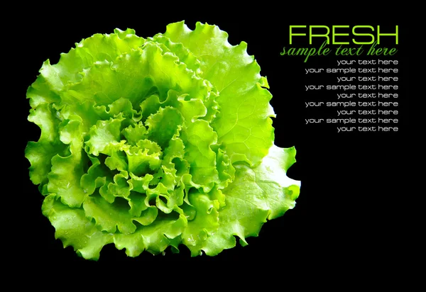 Verse groene salade geïsoleerd op zwarte achtergrond — Stockfoto