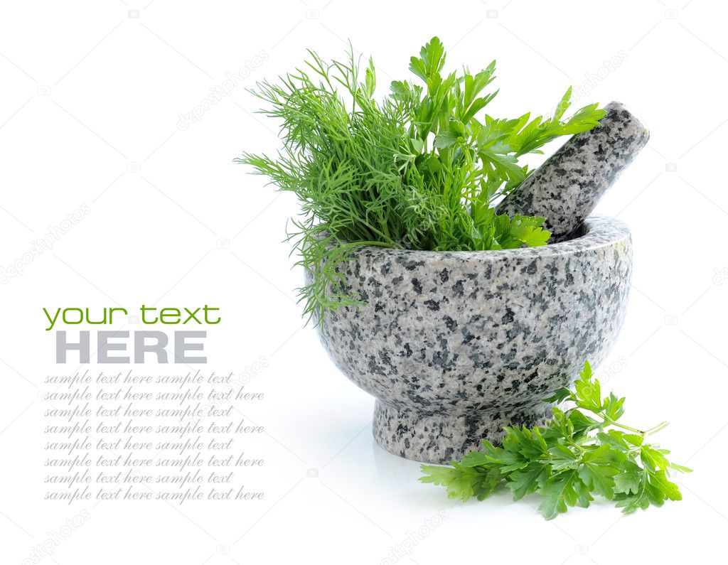 Stone mortar and pestle with greenery of parsley and dill on white background