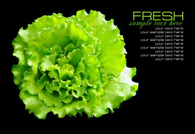 Fresh green salad isolated on black background clipart