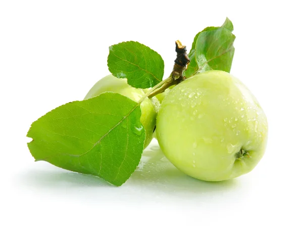 Färska gröna äpplen är på en vit bakgrund — Stockfoto