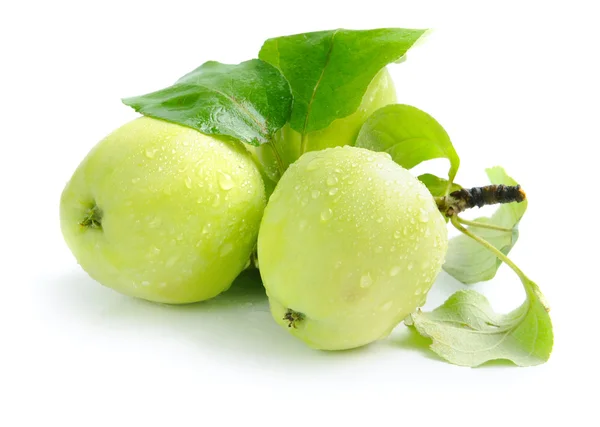 Manzanas verdes frescas sobre un fondo blanco — Foto de Stock