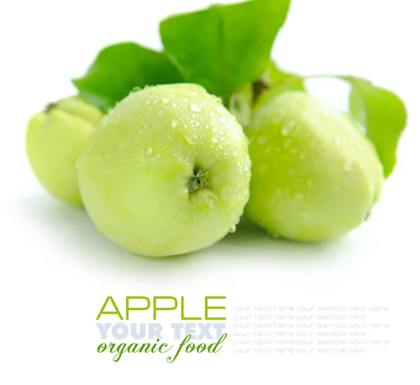Manzanas verdes frescas sobre un fondo blanco —  Fotos de Stock