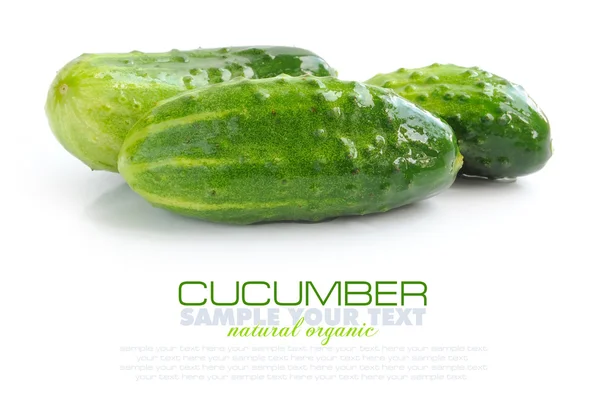 Verse komkommers zijn op een witte achtergrond — Stockfoto