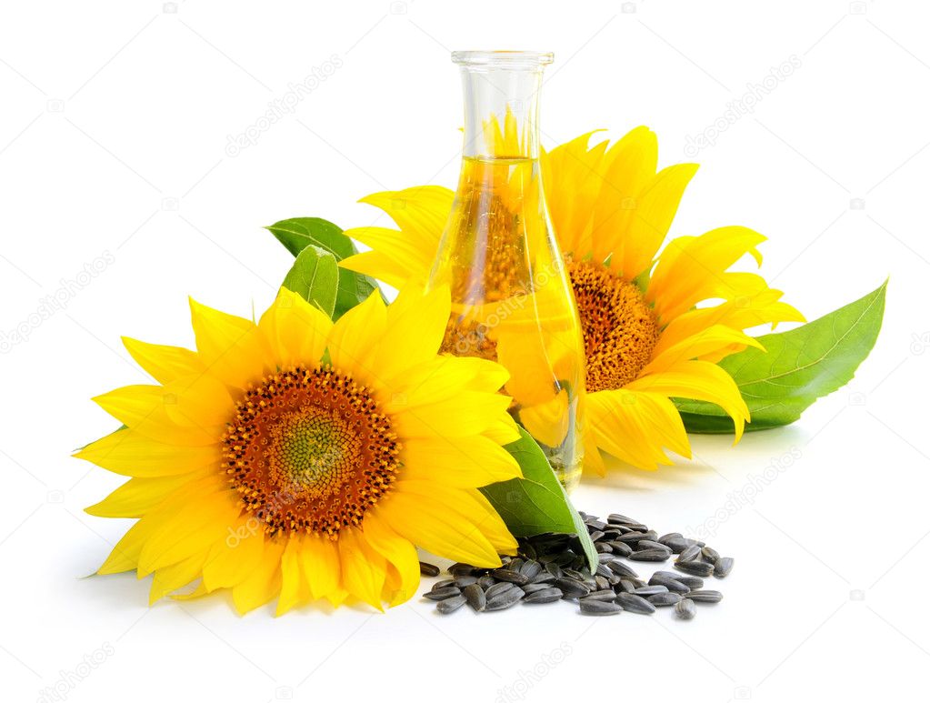 Sunflower oil with flower and by seed on white background