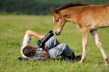 fotoğrafçı