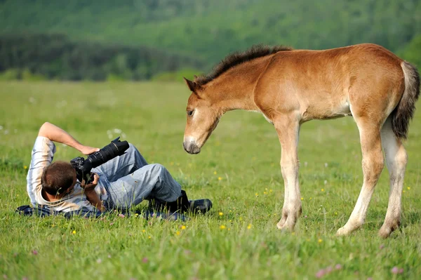 stock image Photographer